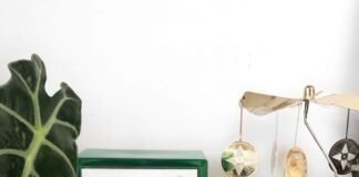 DR JART CICAPAIR RE-COVER (TIGER-GRASS) CREAM REVIEW