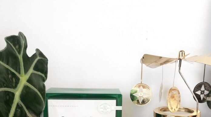 DR JART CICAPAIR RE-COVER (TIGER-GRASS) CREAM REVIEW