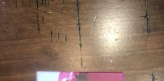 URBAN DECAY LOFI LIP MOUSSE REVIEW