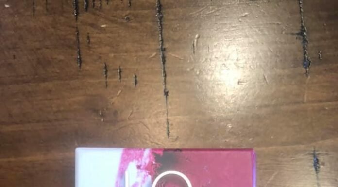 URBAN DECAY LOFI LIP MOUSSE REVIEW