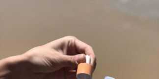 ULTRA VIOLETTE QUEEN SCREEN REVIEW