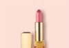 Estée Lauder – Pure Color Long Lasting Lipstick | Review, Swatches Estée Lauder – Pure Color Long Lasting Lipstick