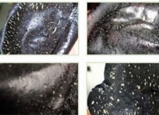 Review | 5 Things You Need To Know about Charcoal Peel-Off Masks Charcoal Peel-Off Masks