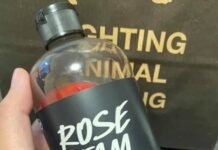 12 Christmas Gifts from Lush Cosmetics