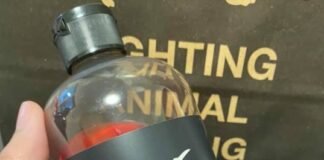 12 Christmas Gifts from Lush Cosmetics