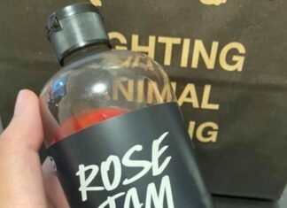 12 Christmas Gifts from Lush Cosmetics