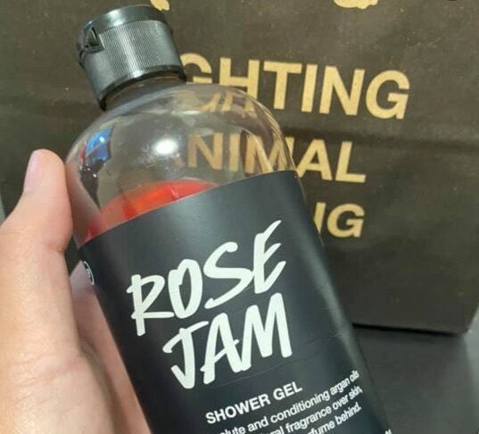 12 Christmas Gifts from Lush Cosmetics