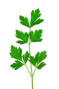 Parsley for skin care