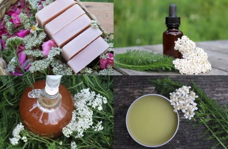 Homemade Yarrow Cream for Face and Body