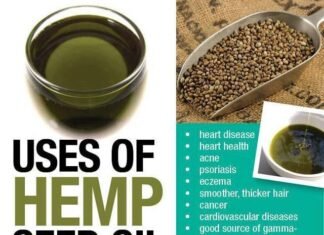 Best Face Oils To Keep Your Skin Healthy