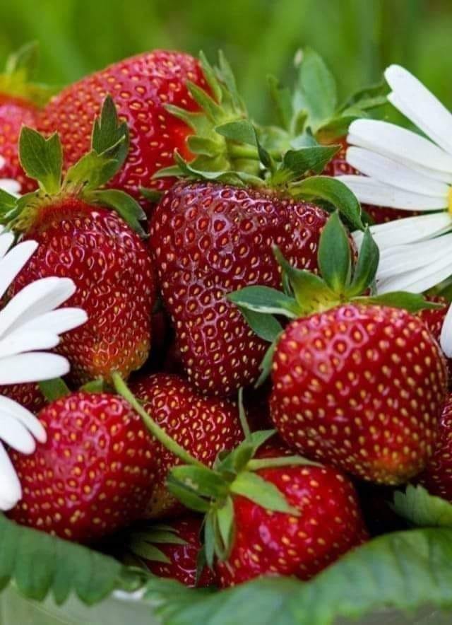 Strawberries also brighten up dull skin