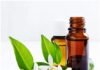 The 10 Best Essential Oils for Wrinkles Introduction