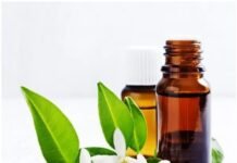 The 10 Best Essential Oils for Wrinkles Introduction