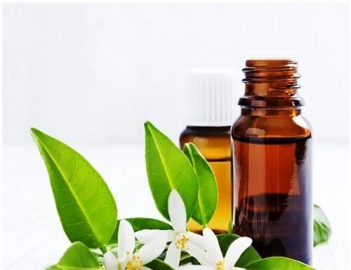The 10 Best Essential Oils for Wrinkles Introduction