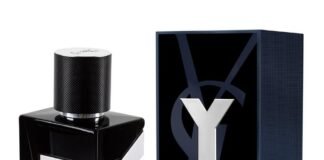 YSL Y EDP for Men Review: A Modern Gentleman’s Signature Scent Y Eau de Parfum Yves Saint Laurent cologne