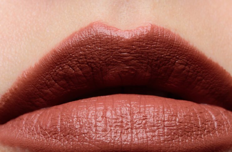 Urban Decay Vice Hydrating Lipstick Swatches: A Complete Review for Lip Color Enthusiasts Urban Decay Vice Lipstick • Lipstick Review & Swatches